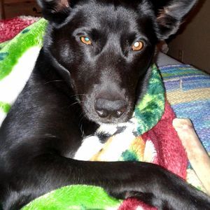 Meet your Posher, Markus